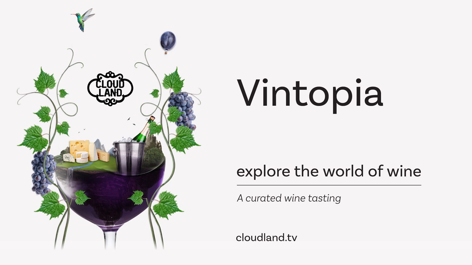 Cloudland Vintopia Wine Tasting