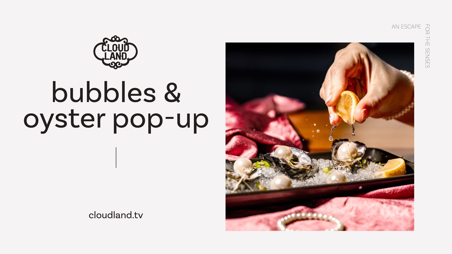 Cloudland Bubbles and Oyster Pop Up
